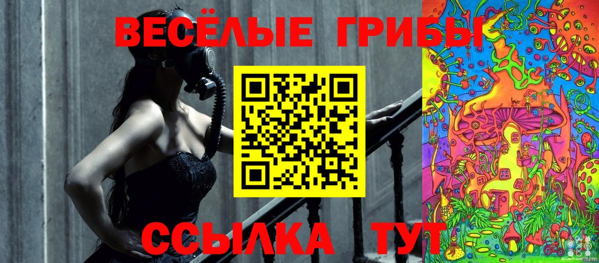 Псилоцибиновые грибы мицелий  Галлюциногенные грибы Cubensis  Кузнецк  Вход с VPN 