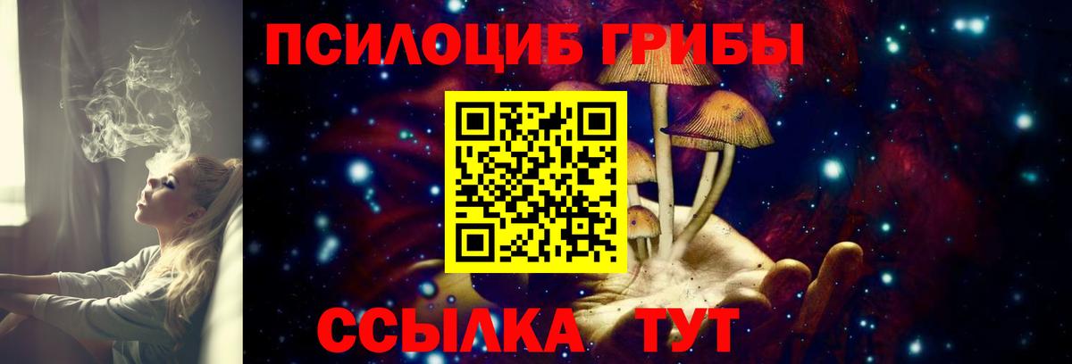 Галлюциногенные грибы мицелий Кузнецк